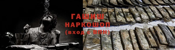 сатива Горняк