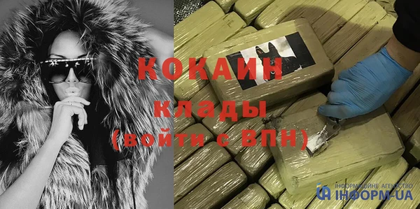 сатива Горняк