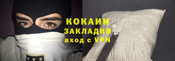 сатива Горняк