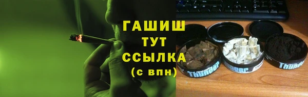 гашик Гусь-Хрустальный