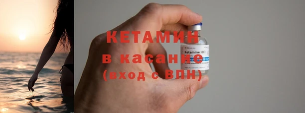 сатива Горняк