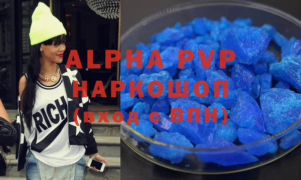 сатива Горняк