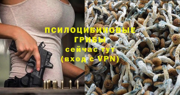 spice Горно-Алтайск