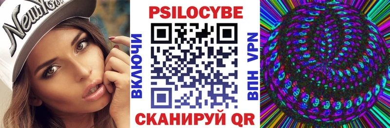наркота  Дигора  Галлюциногенные грибы Psilocybine cubensis 