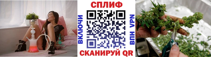 Бошки Шишки сатива  наркошоп  Дигора 